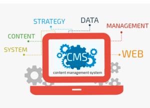 Content Management Systems 