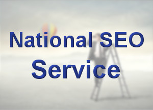 National SEO Service